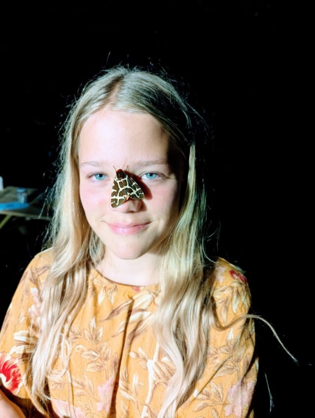 Cees Heijdel - grunotuin_nacht_vlinders/00.jpg