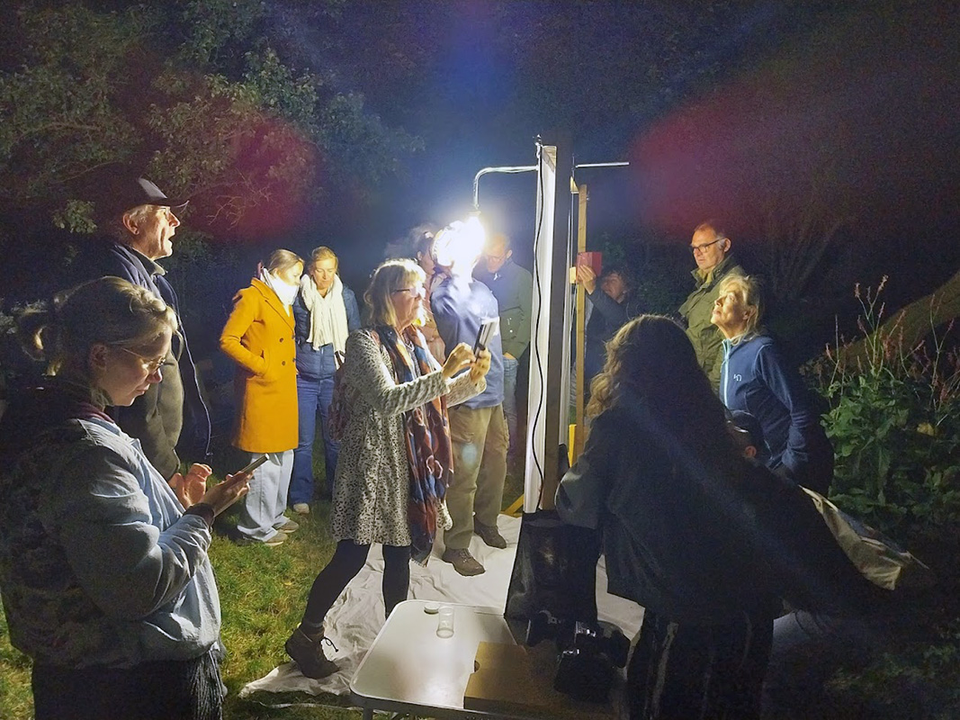 Cees Heijdel - grunotuin_nachtvlinders_2025/09.jpg