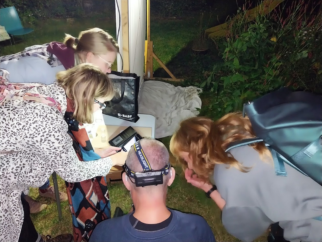 Cees Heijdel - grunotuin_nachtvlinders_2025/10.jpg